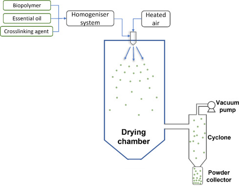 اسپری درایینگ (Spray Drying):